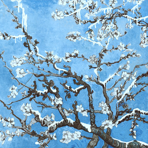 91久久澡人人爽人人添
